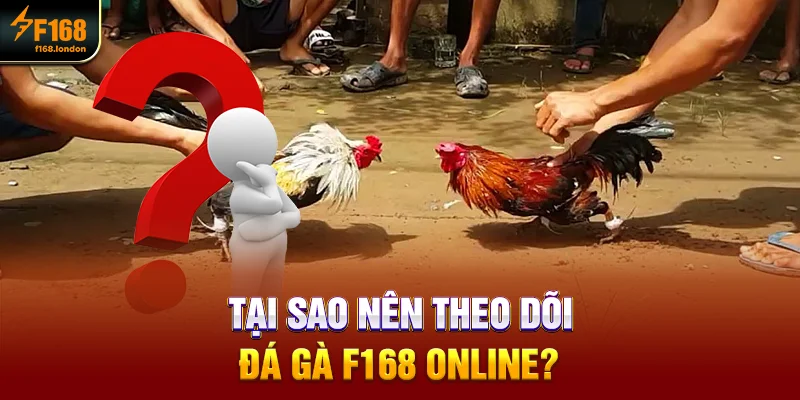 Thông tin mới nhất về Đá gà f168 tại nhà cái - panda96
